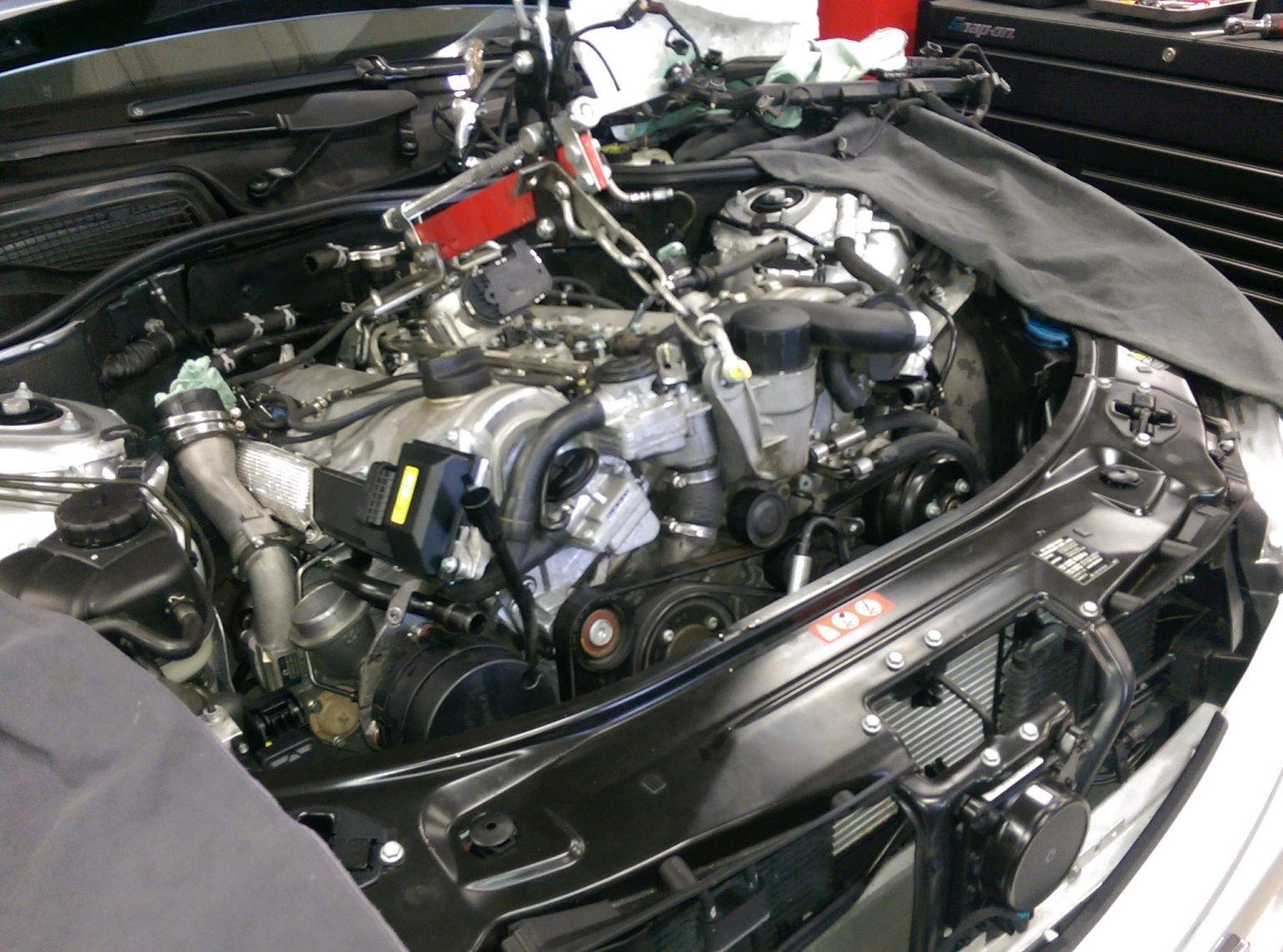 Apex (2)